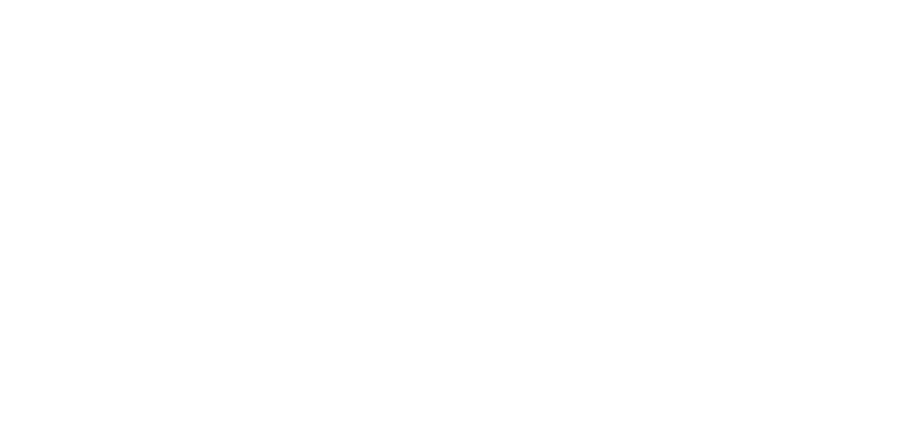 鳥の匠